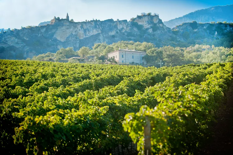 image-14 - Abruzzo: una región de vinos sorprendentes y parques naturales en el centro de Italia
