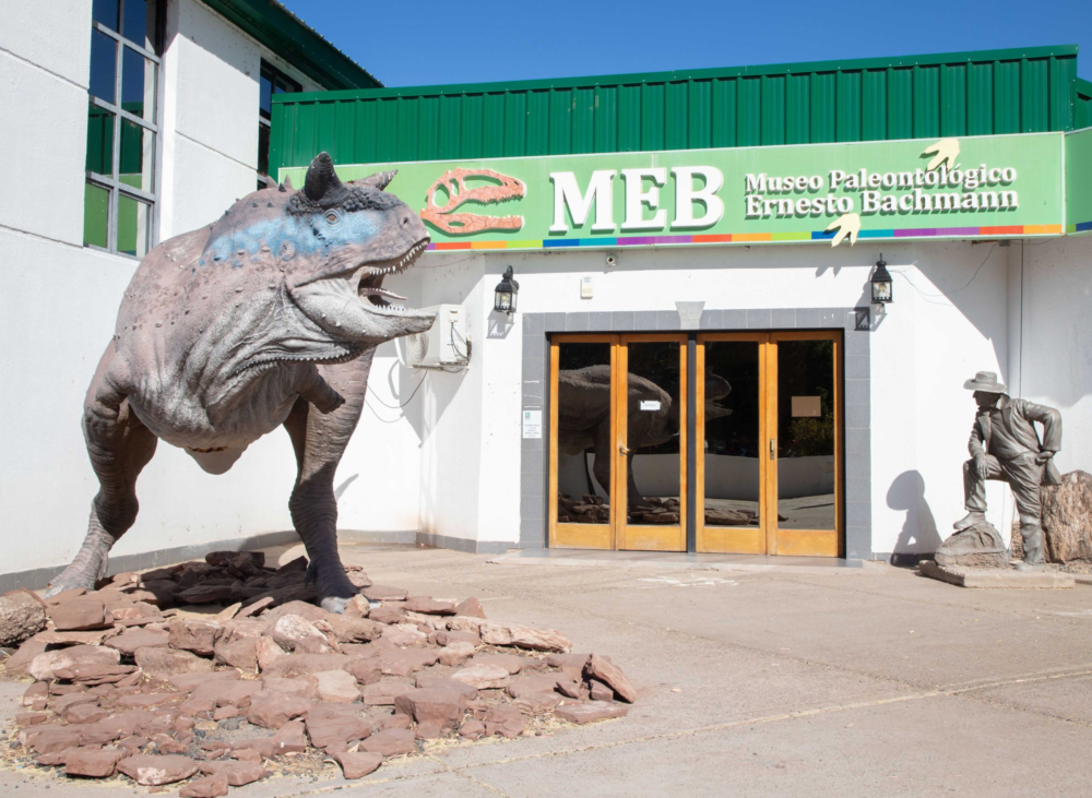 image-45-1000x731 - Dónde ver los huesos de los dinosaurios más grandes del mundo