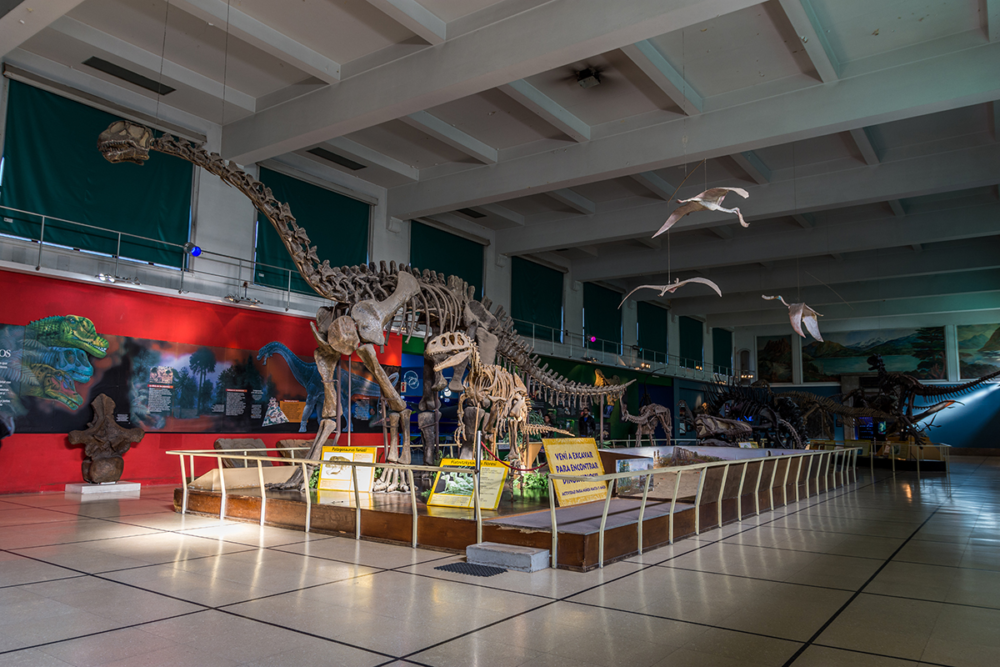 image-47-1000x667 - Dónde ver los huesos de los dinosaurios más grandes del mundo