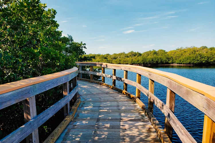image-5 - Florida: las mejores vacaciones en la playa, según un local