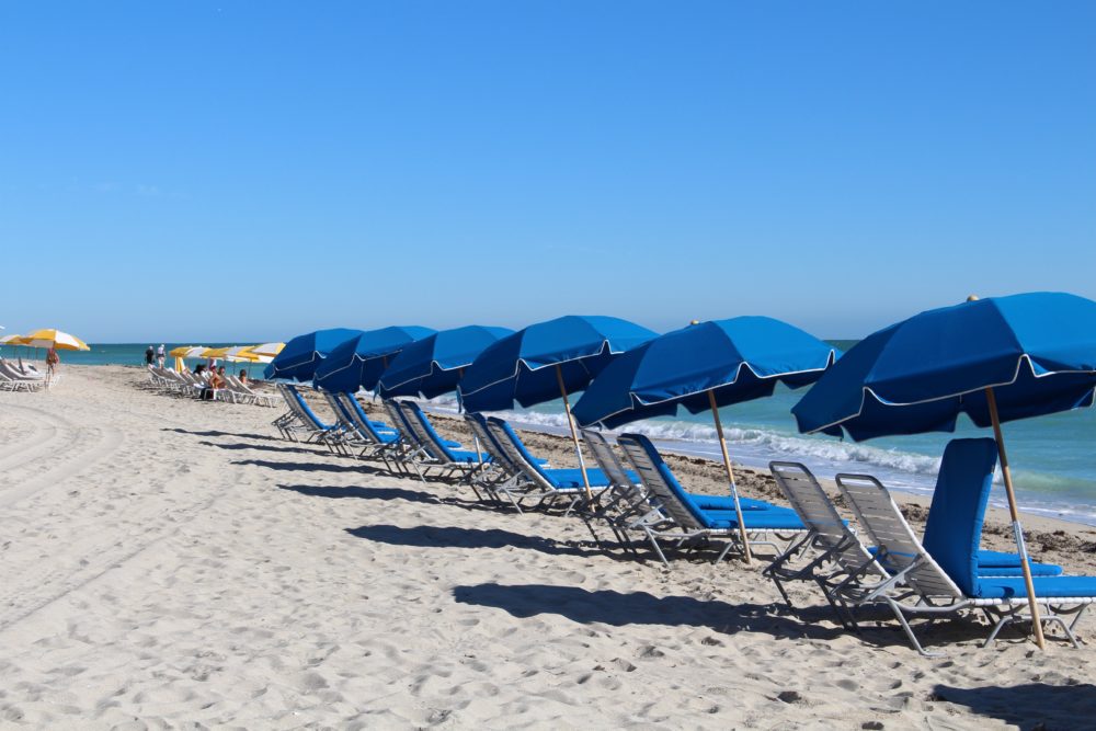 miami-pixabay4-1000x667 - Cuándo viajar a Miami: clima, turistas y presupuesto para todos los gustos