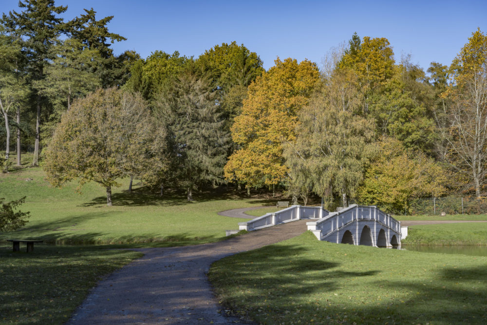 parque_Painshill_Bridgerton-1000x667 - Bridgerton en Inglaterra: descubre los escenarios de la serie