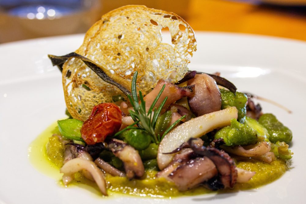 pulpo-pixabay-1000x667 - La cantina gourmet en la CDMX con ricos platitos y tragos para compartir en un hermoso edificio antiguo de Roma Norte