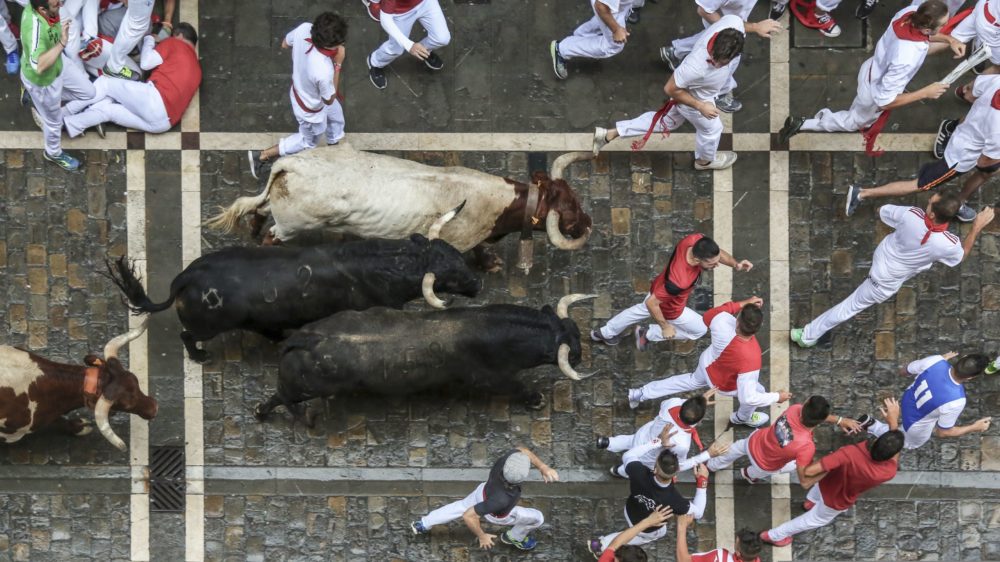 Dónde se ve mejor el encierro de San Fermín y qué actividades se pueden hacer