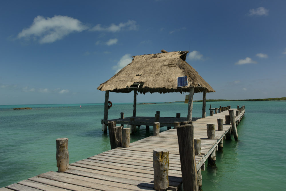 Viaje a Isla Contoy: itinerario, qué ver y cuánto cuesta el tour