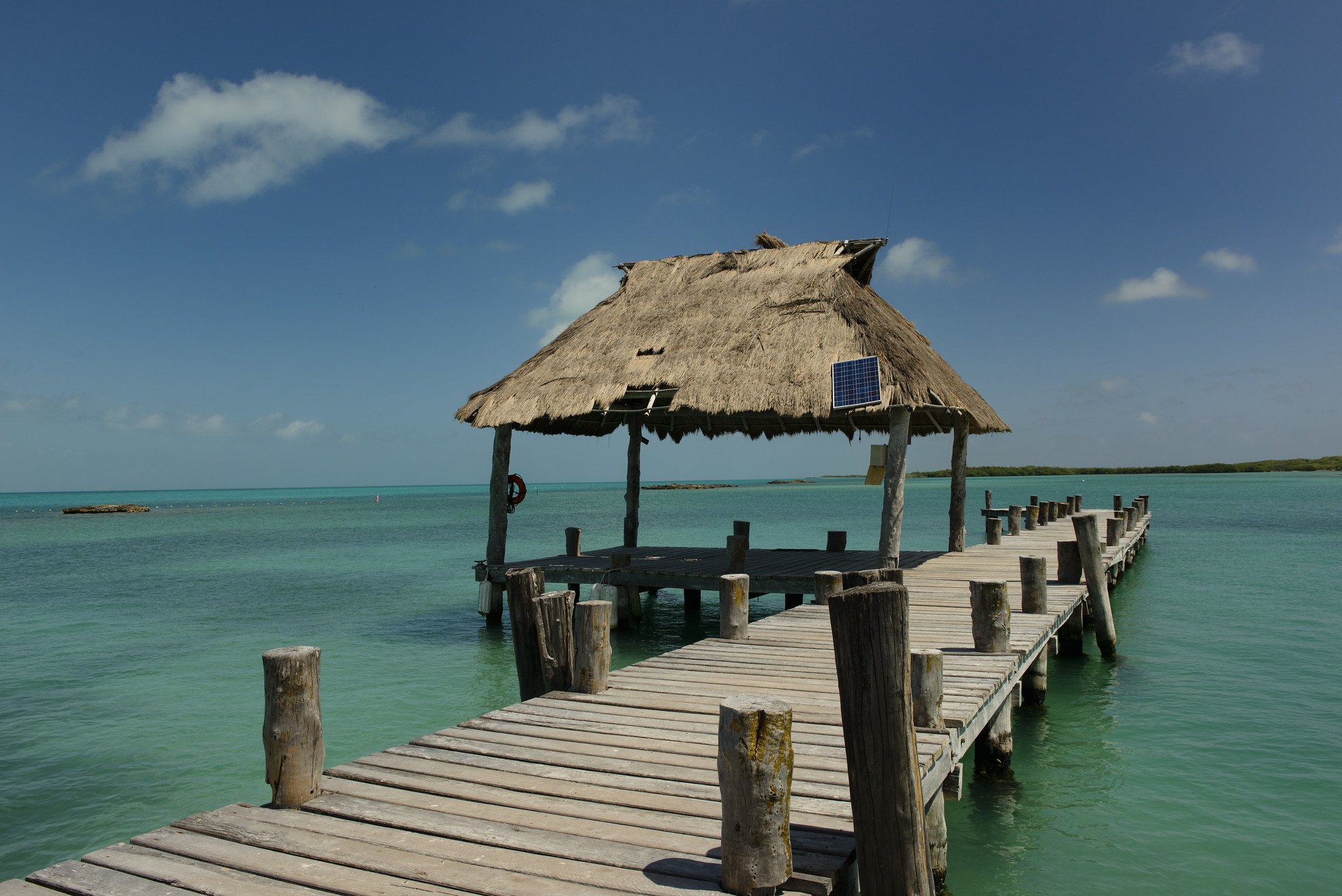 Viaje a Isla Contoy: itinerario, qué ver y cuánto cuesta el tour