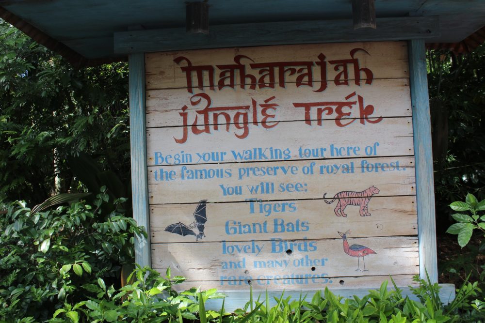 21906701023_0d063b7c71_k-1000x667 - Mejores atracciones en Animal Kingdom: itinerario y recomendaciones