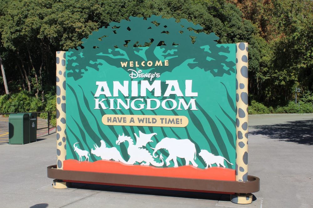 22338634160_47225cacd6_k-1000x667 - Mejores atracciones en Animal Kingdom: itinerario y recomendaciones