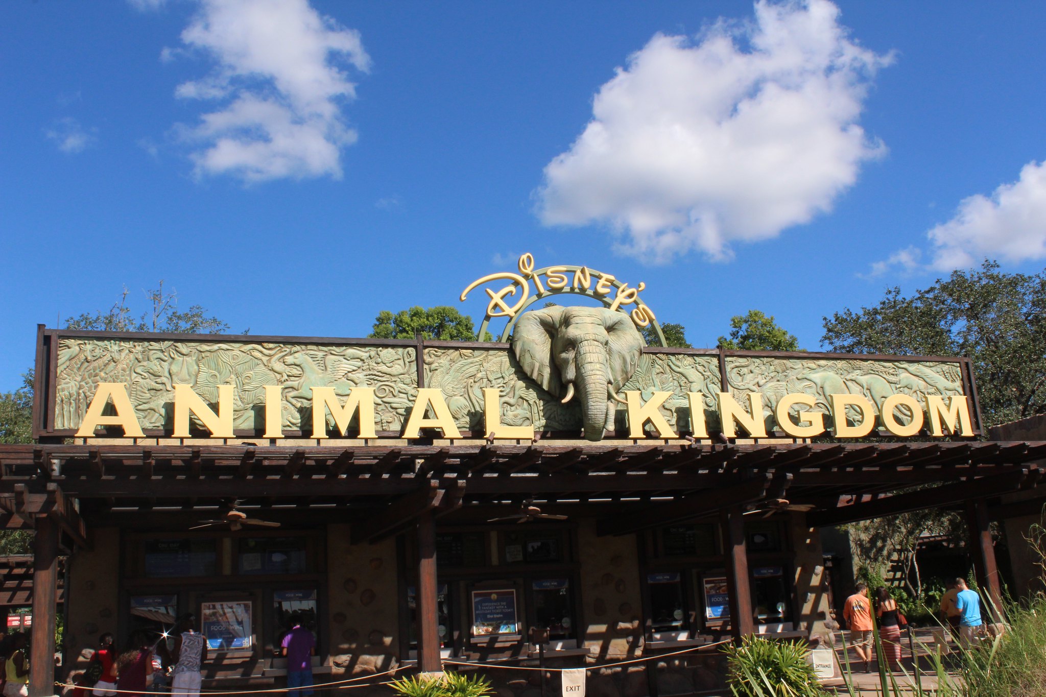 Mejores atracciones en Animal Kingdom: itinerario y recomendaciones