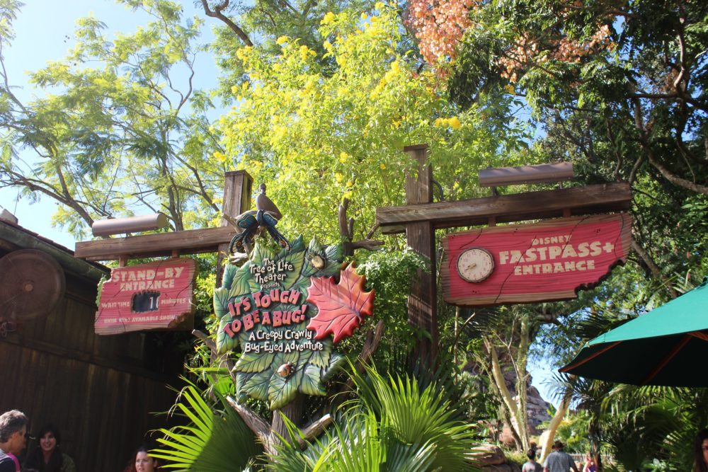 22341112098_eca7135685_k-1-1000x667 - Mejores atracciones en Animal Kingdom: itinerario y recomendaciones