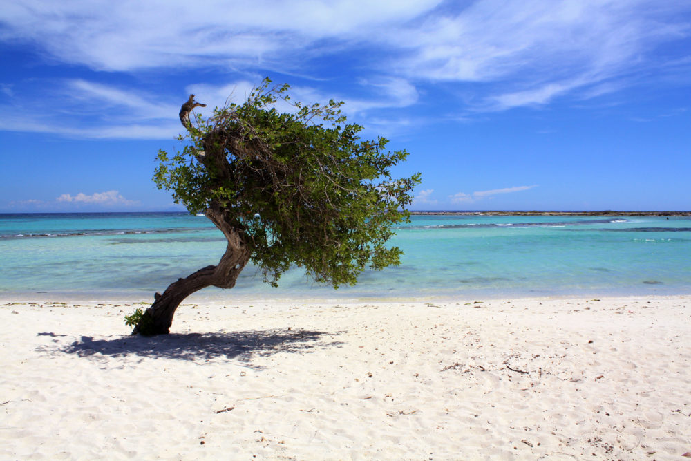 30575762563_fa98acb2c0_k-1000x667 - ¿Por qué Aruba se llama "La isla feliz"?