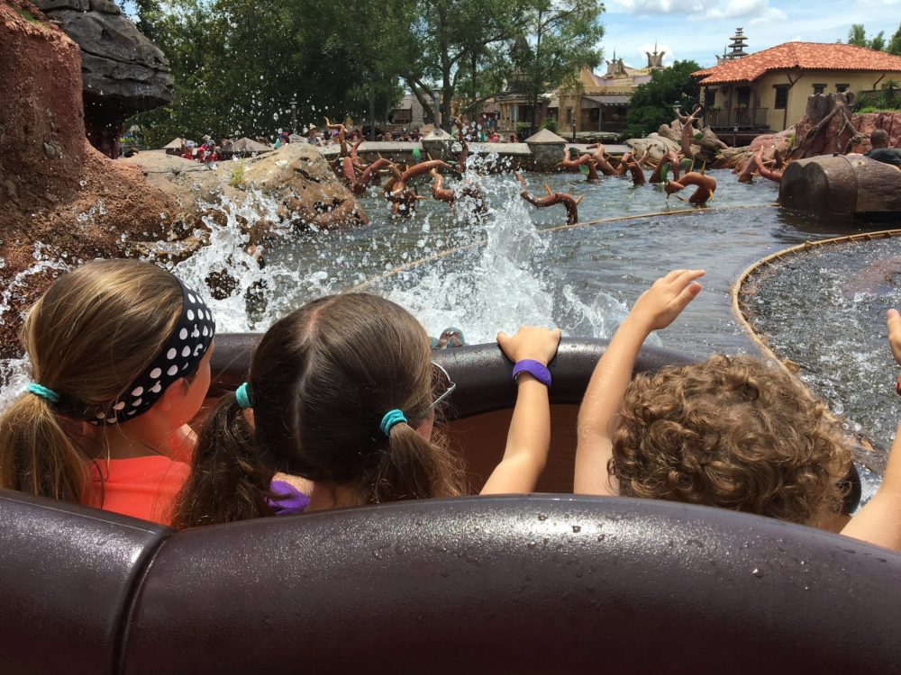 34872131924_4eb1ac5256_k-1000x750 - Disney Florida: hasta qué edad no pagan los niños