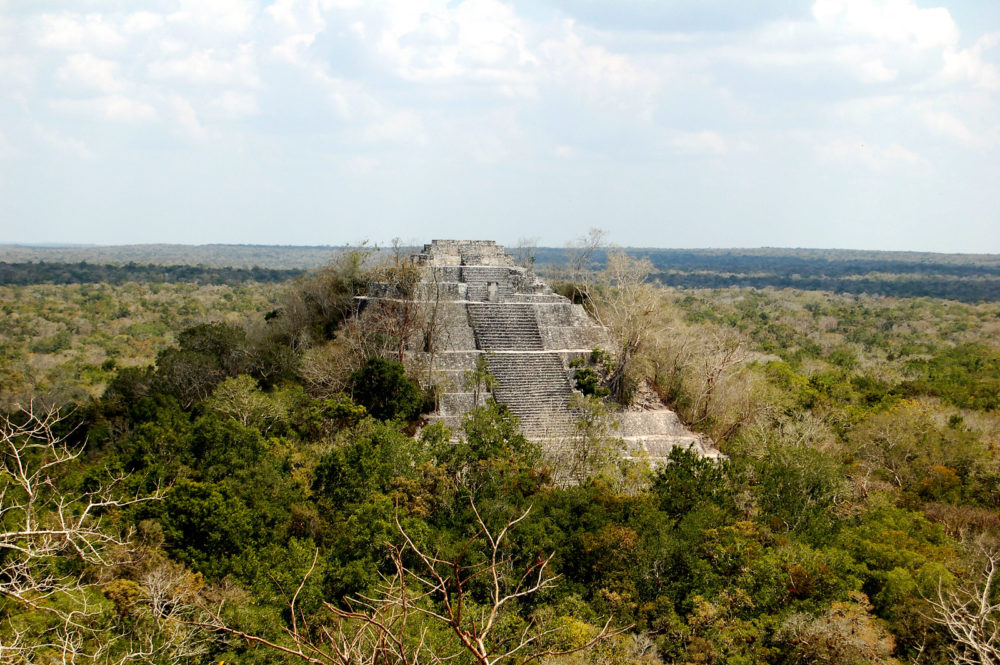 52755174215_73123c8e28_h-1000x665 - Cuánto tiempo se necesita para visitar Calakmul, qué días abre y dónde hospedarse