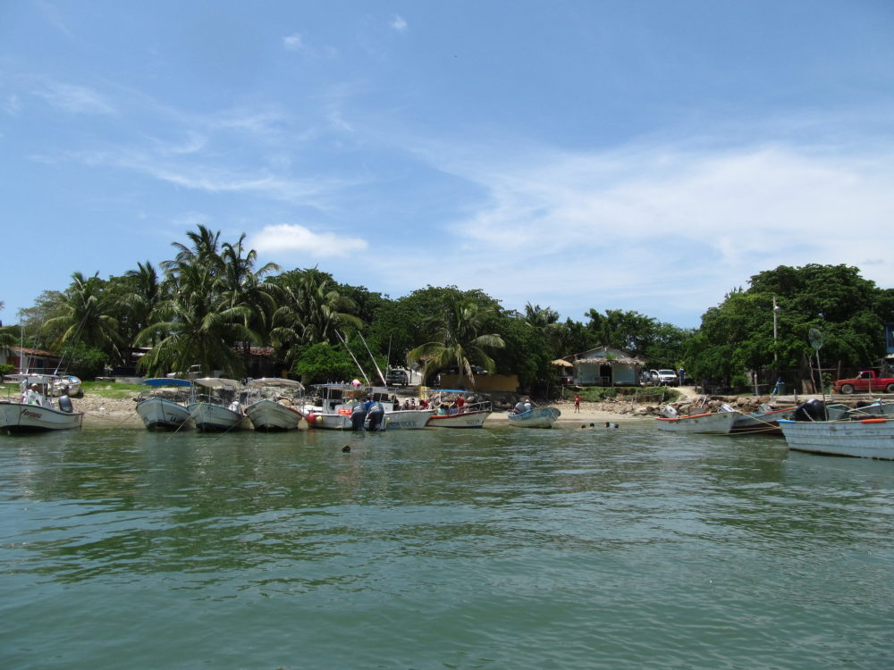 9372576243_97d94c87c4_k-1000x750 - Qué ver en las Islas Marietas, cuánto cuesta la entrada y cuáles son las playas imperdibles