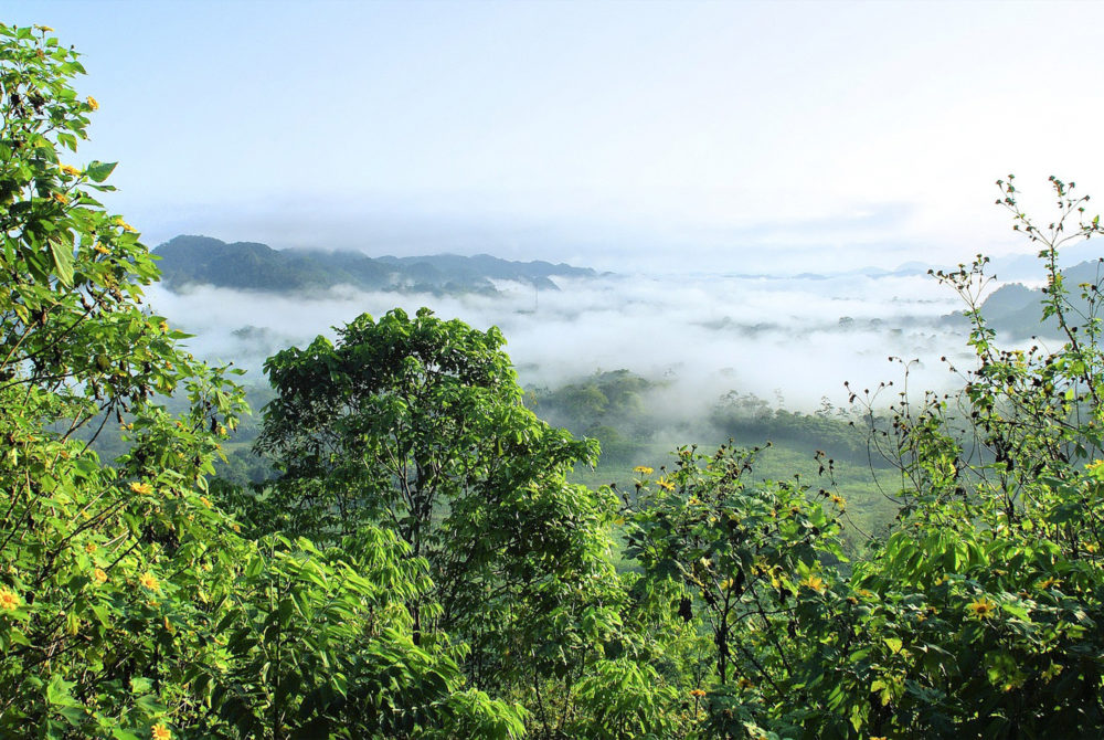 Amazonia-1000x670 - Cuáles son las 7 maravillas naturales del mundo y en qué país están