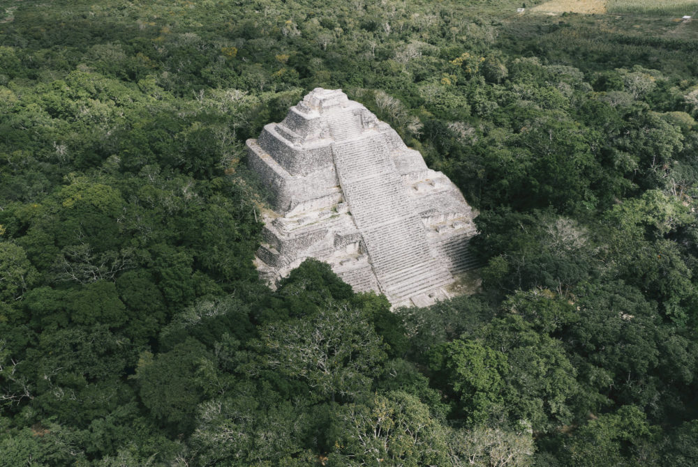 Calakmul-1-1000x670 - Ruta del Tren Maya: qué Reservas Naturales visitar