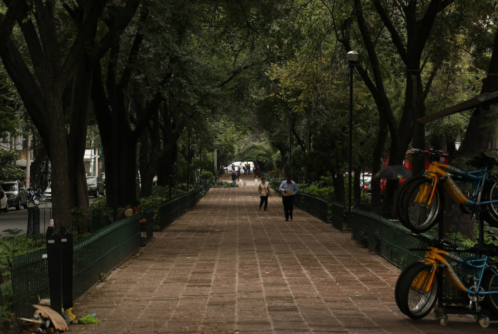 Colonia-Roma-Norte-1000x670 - Qué es una colonia en México y en qué se diferencia de un barrio