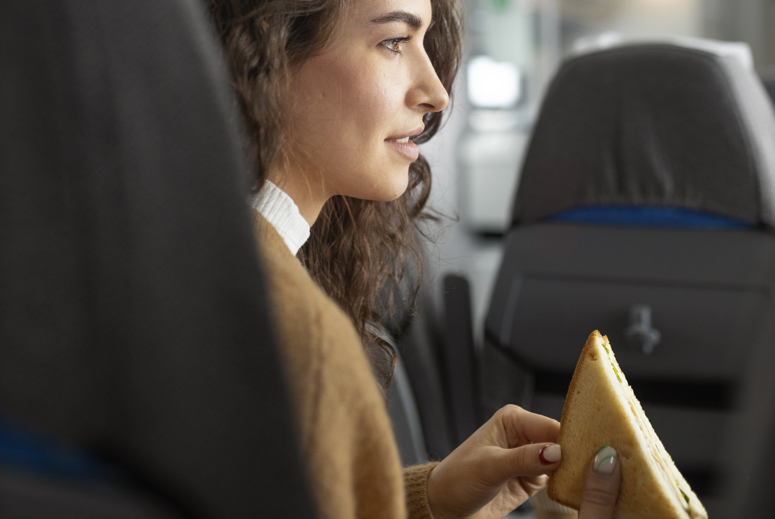 ¿Se puede llevar comida en el avión?