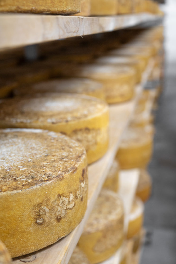 Gunns-Hill-Artisan-Cheese-Ontarios-Southwest-Marck-Gutt-Don-Viajes-665x1000 - Sabores de Ontario’s Southwest: road trip culinario en Canadá