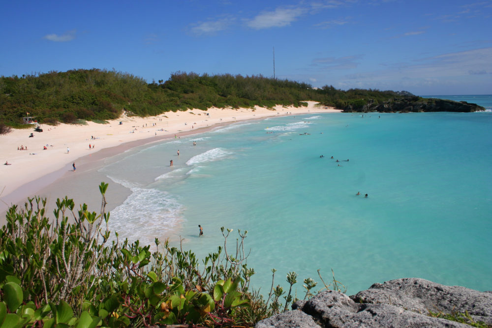 Horseshoe_Bay_Bermuda-1000x667 - Playas de arena rosa, dónde encontrarlas