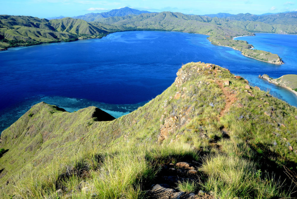 Komodo-1000x670 - Cuáles son las 7 maravillas naturales del mundo y en qué país están