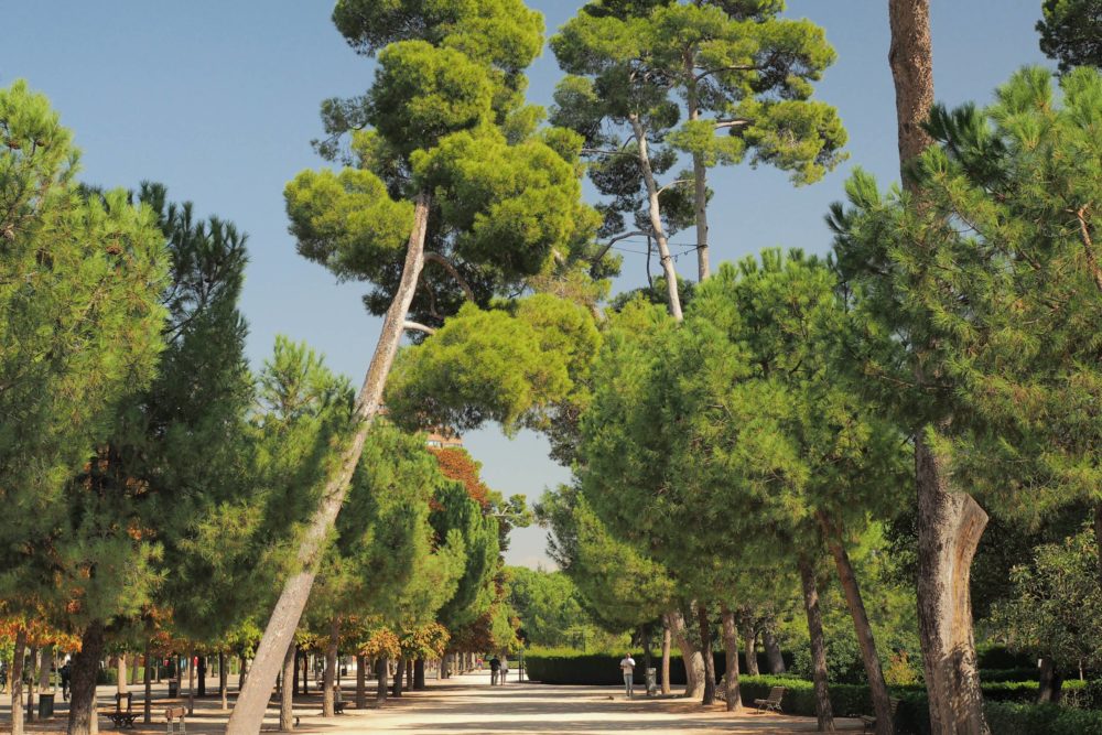 Parque-El-Retiro-1000x667 - Parque El Retiro en Madrid: tarifas, horarios y cómo ir en transporte público