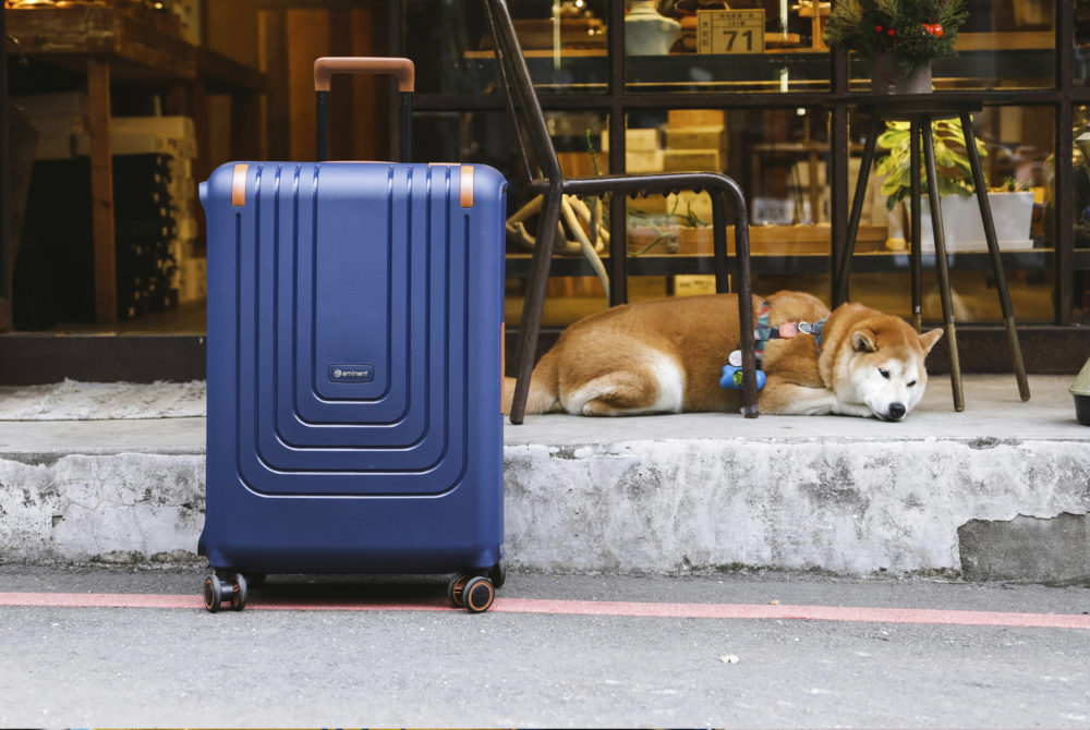 Perro-maleta2-1000x670 - Cómo viajar con perros de más de 10 kilos en avión