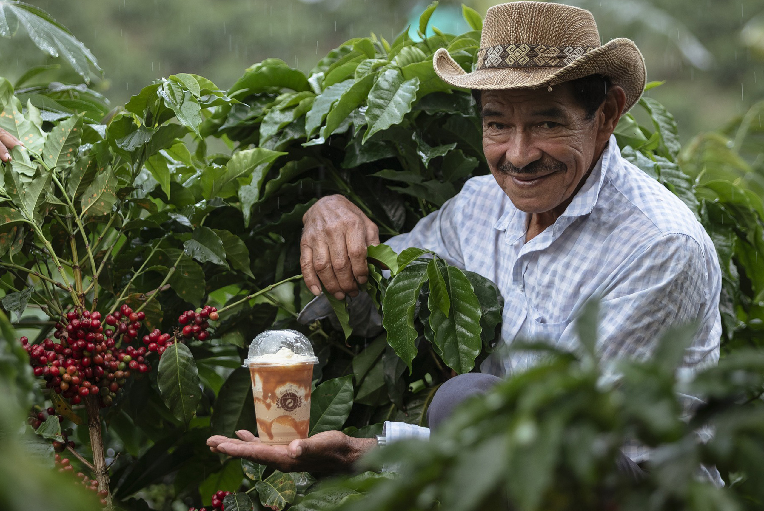 Todas las regiones cafeteras de Colombia