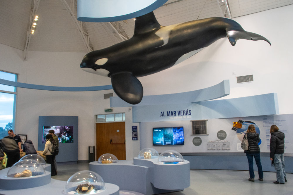 Puerto-Madryn-Gloria-Montanaro-065-1000x667 - Qué hacer en la ciudad de Puerto Madryn