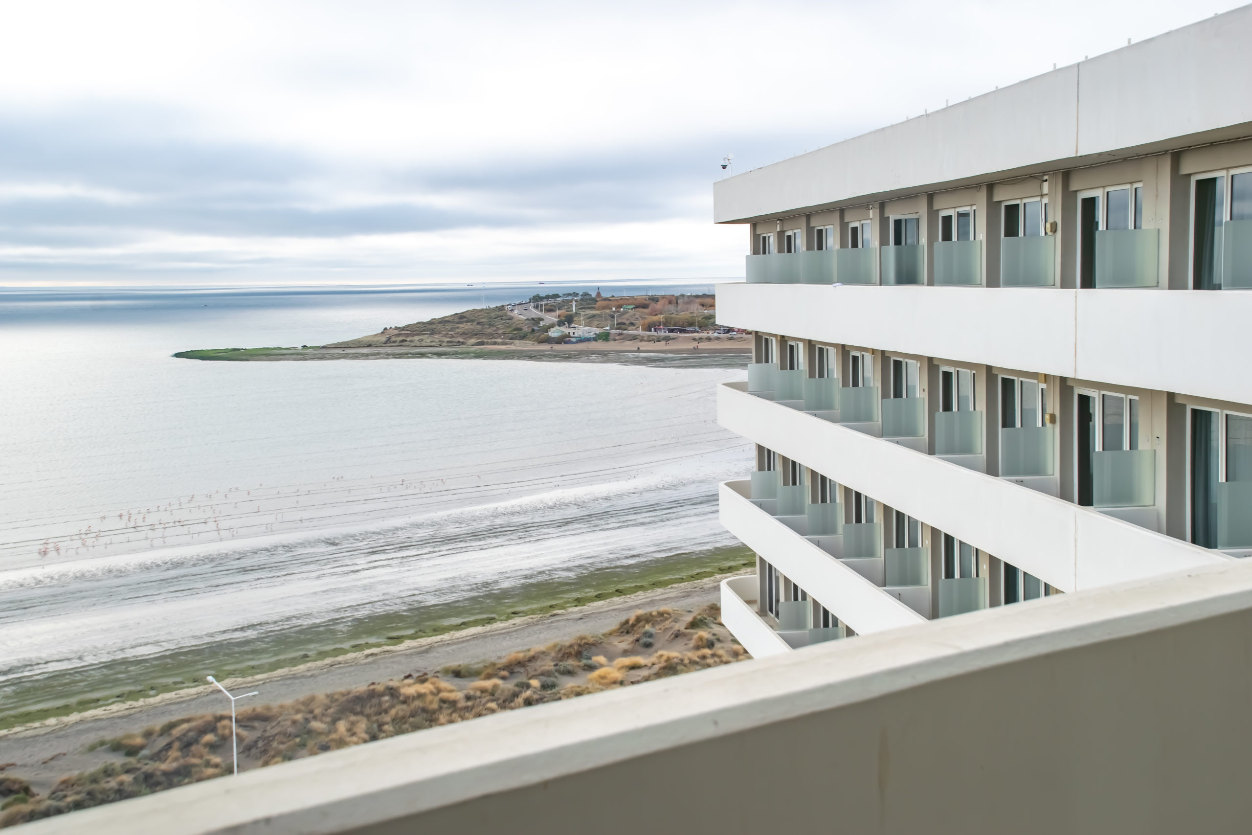 Qué hacer en la ciudad de Puerto Madryn