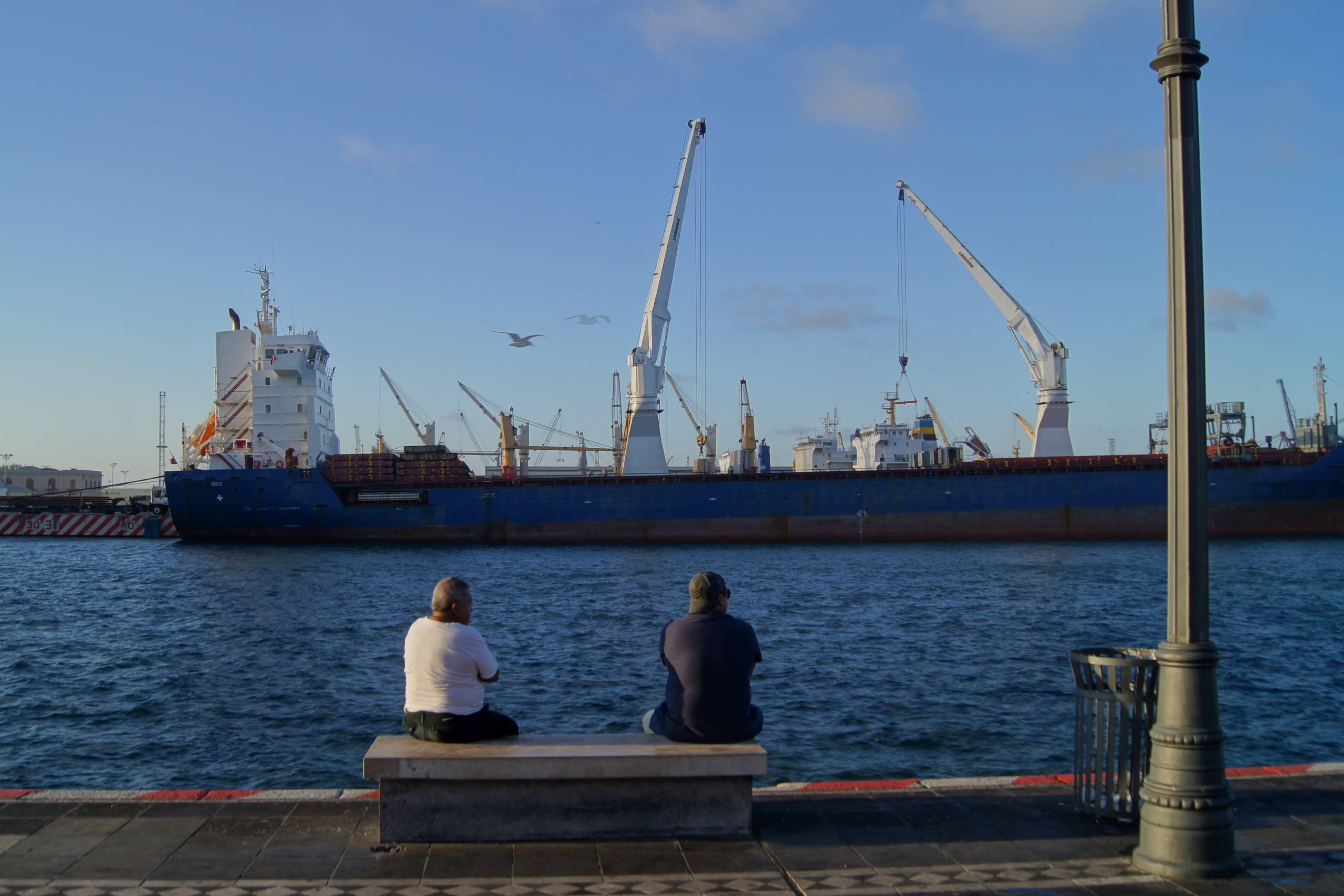 Qué hacer y ver en el Puerto de Veracruz