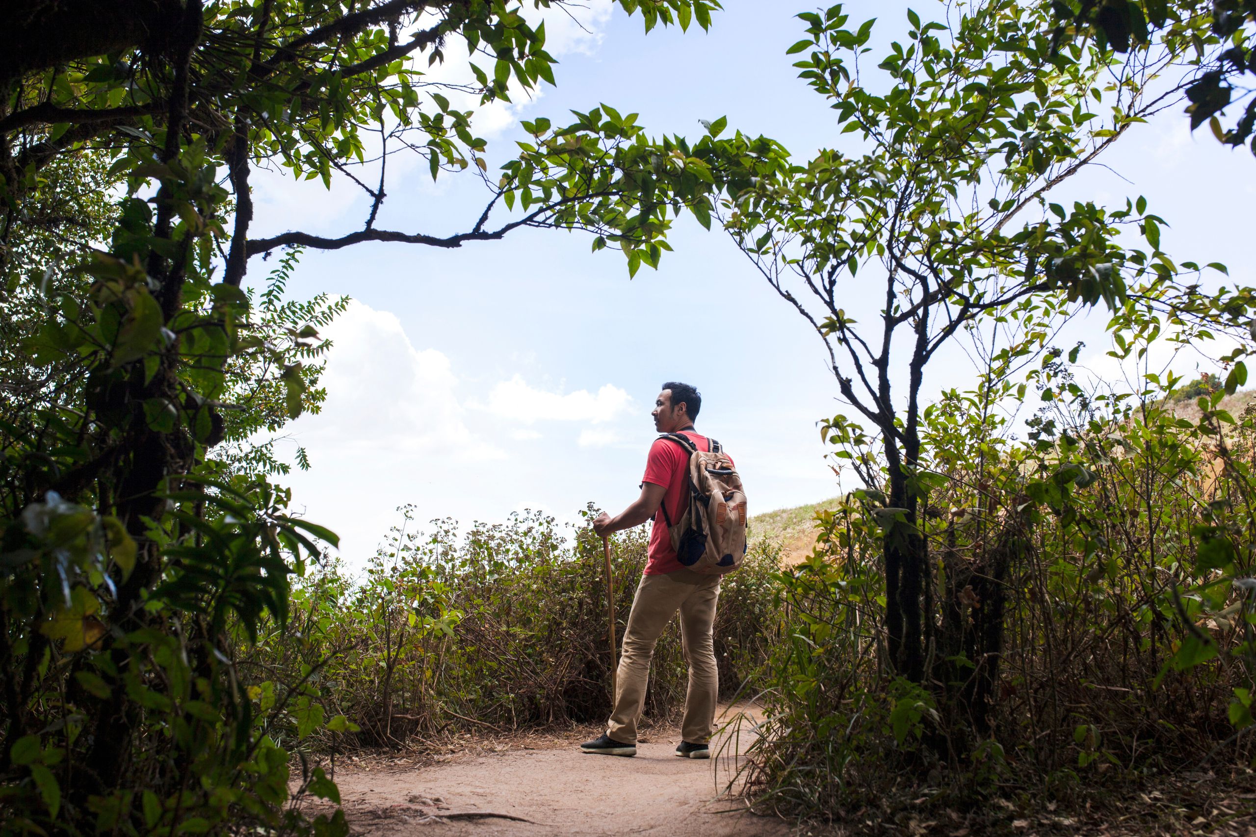 Ruta Maya de México: qué saber antes de ir e imperdibles