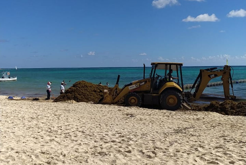 Sargazo5-1000x670 - ¿Cuándo hay sargazo en Playa del Carmen?