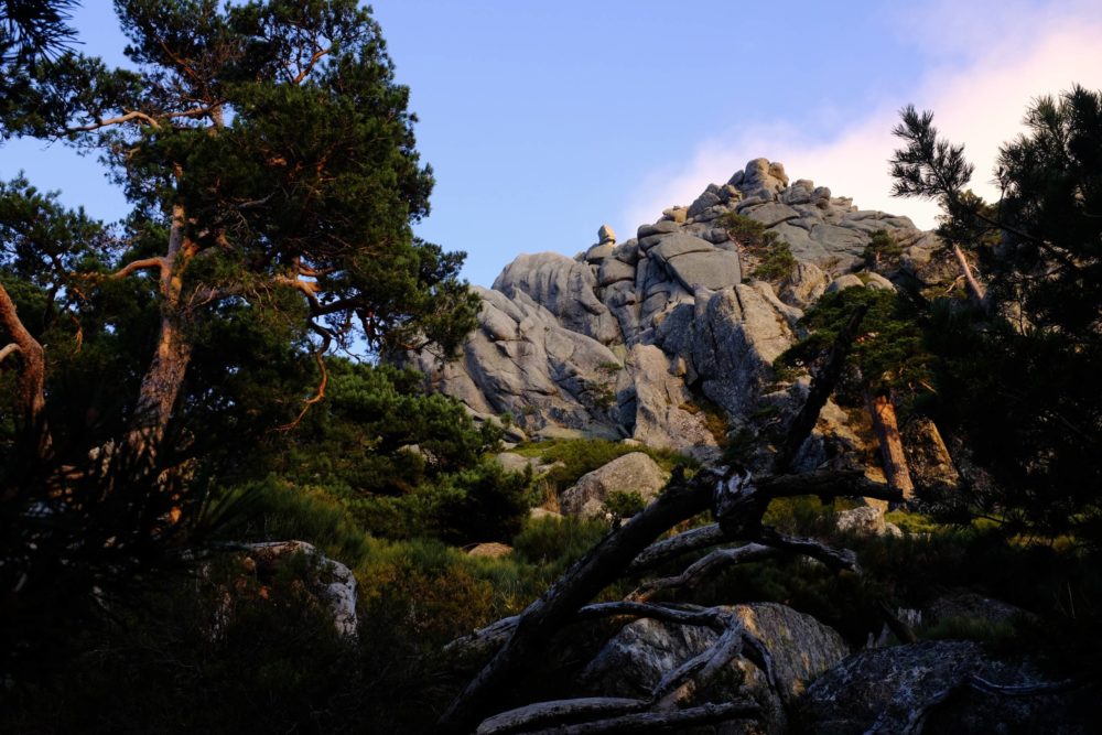 Las 4 rutas de la Sierra de Guadarrama en Madrid con paisajes alucinantes