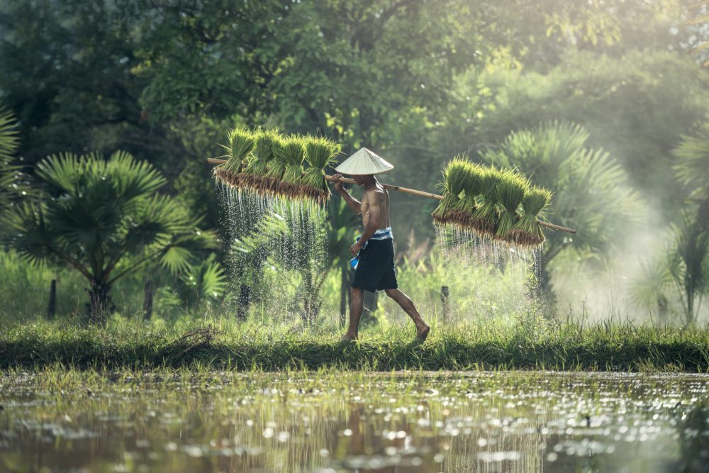 Sudeste-asiatico-1000x667 - Cuál es la mejor época para viajar al sudeste asiático