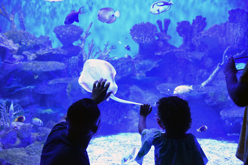  - ¿Viajas a Río de Janeiro con niños? Te dejamos algunas actividades para hacer