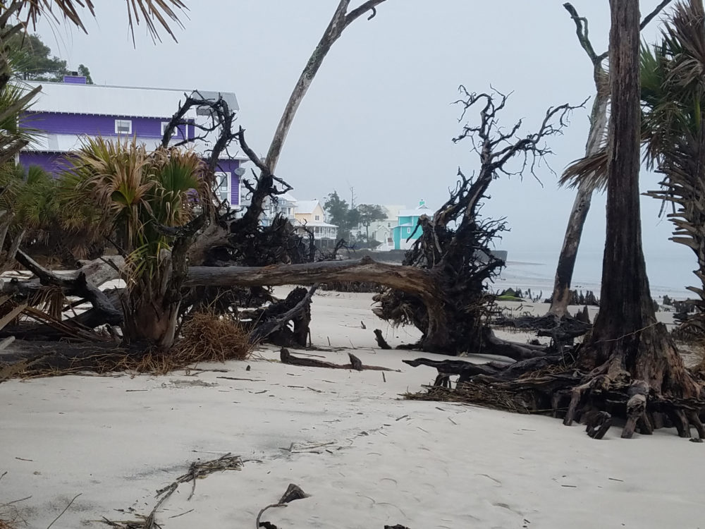 Cómo protegerse ante la llegada del huracán Beryl: las recomendaciones de Protección Civil