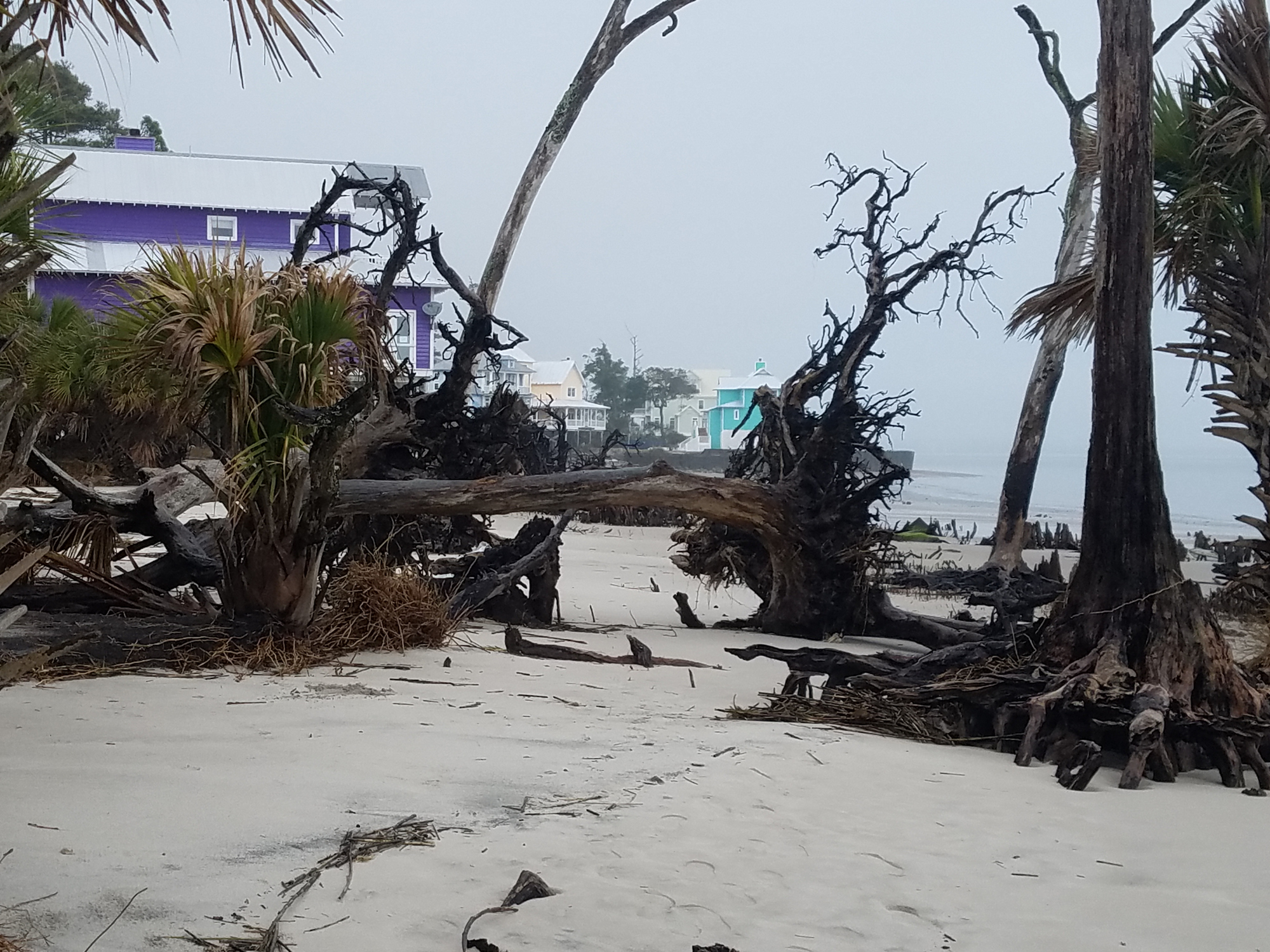 Cómo protegerse ante la llegada del huracán Beryl: las recomendaciones de Protección Civil