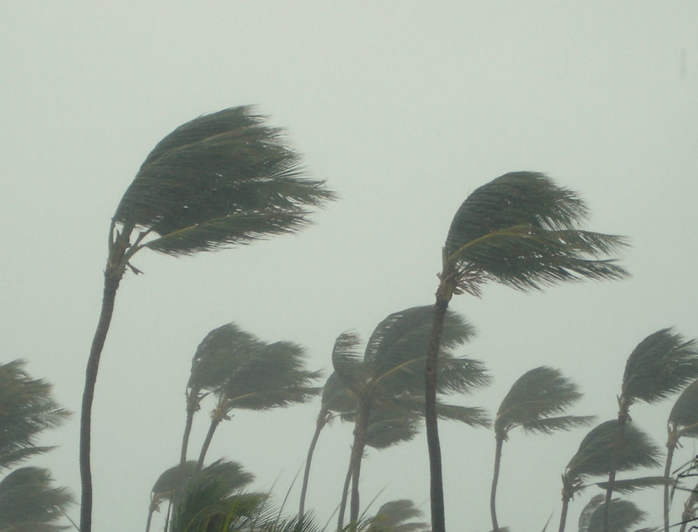 iStock-480386290-1-1000x763 - Qué significa la alerta verde para huracanes