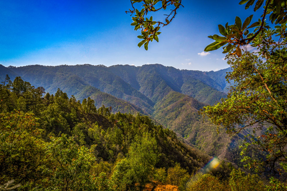sierra-oaxaquena-1000x667 - San José del Pacífico: duerme en una cabaña sobre las nubes