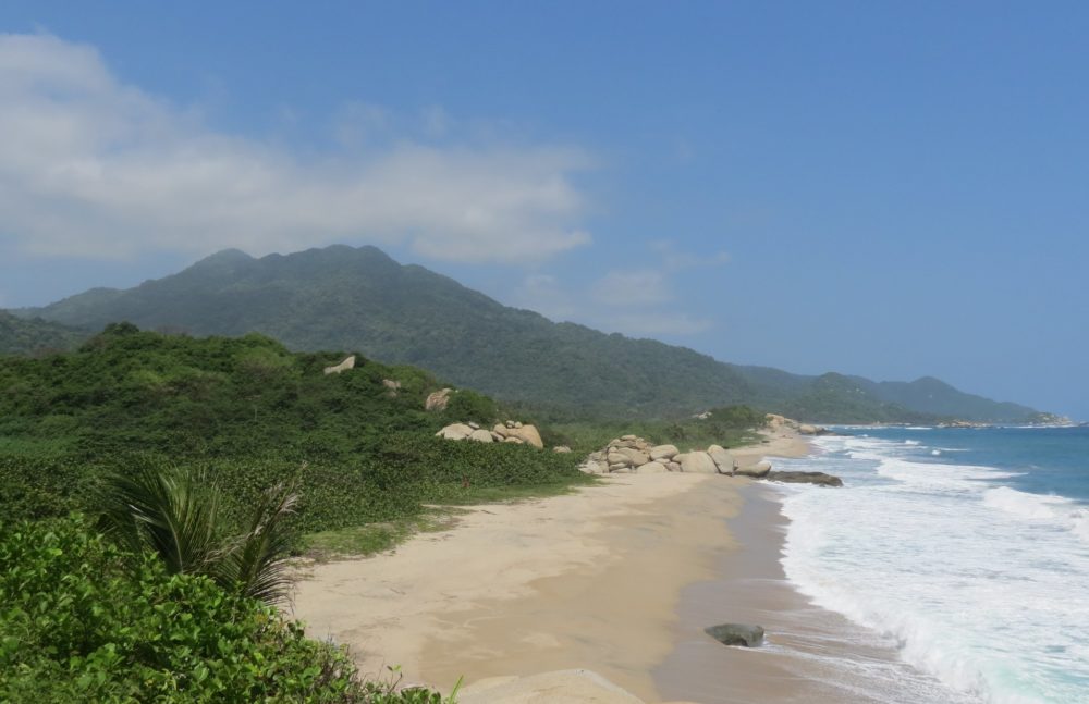 13024038544_d778144f25_k-1000x647 - Vacuna contra la Fiebre Amarilla en Colombia: estos lugares piden vacunación a turistas