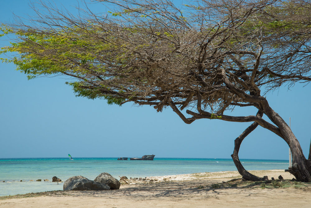 17509582875_c18f543ea5_h-1000x668 - Cómo son los precios en Aruba