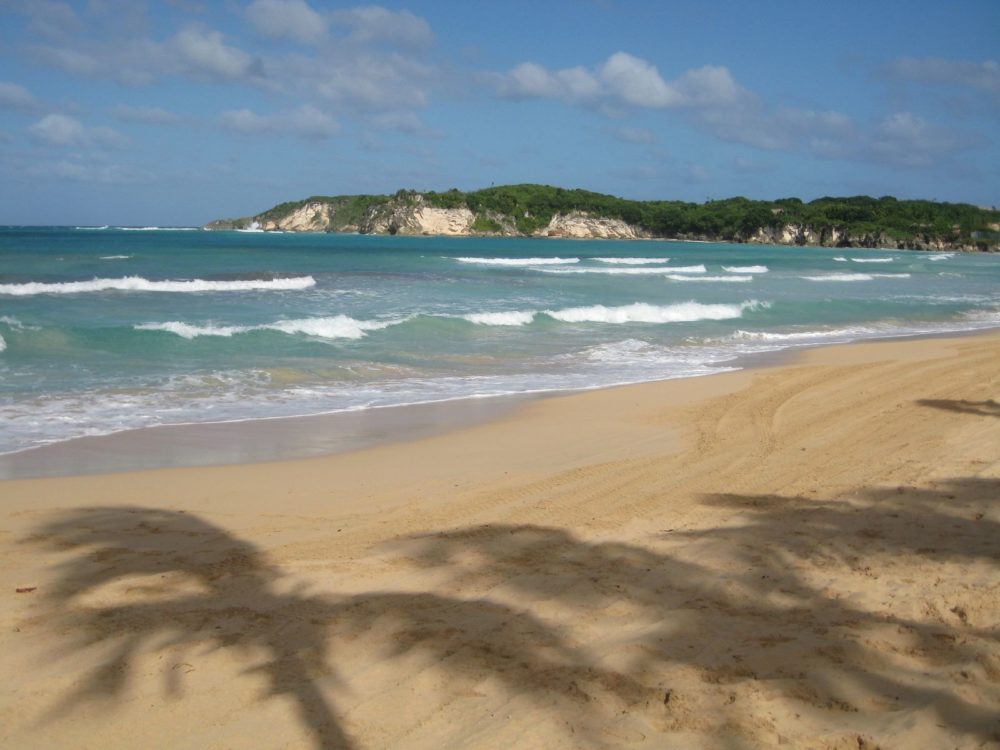 2128280816_876f71717c_h-1000x750 - Cuándo no hay sargazo en Punta Cana