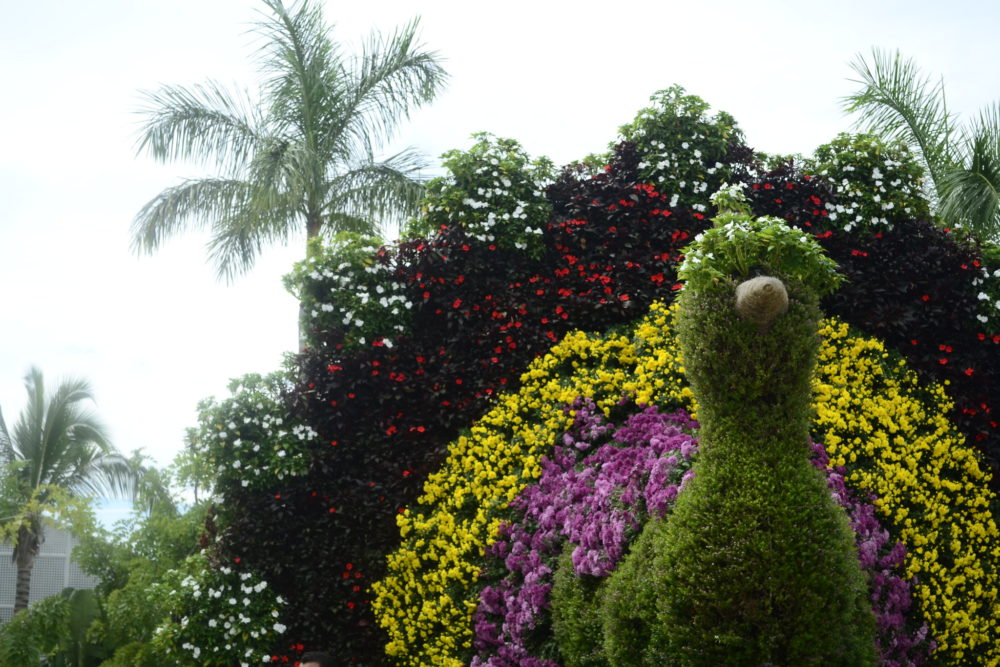 22516790342_1f111ddf84_k-1000x667 - 7 destinos espectaculares de Morelos para una escapada de fin de semana