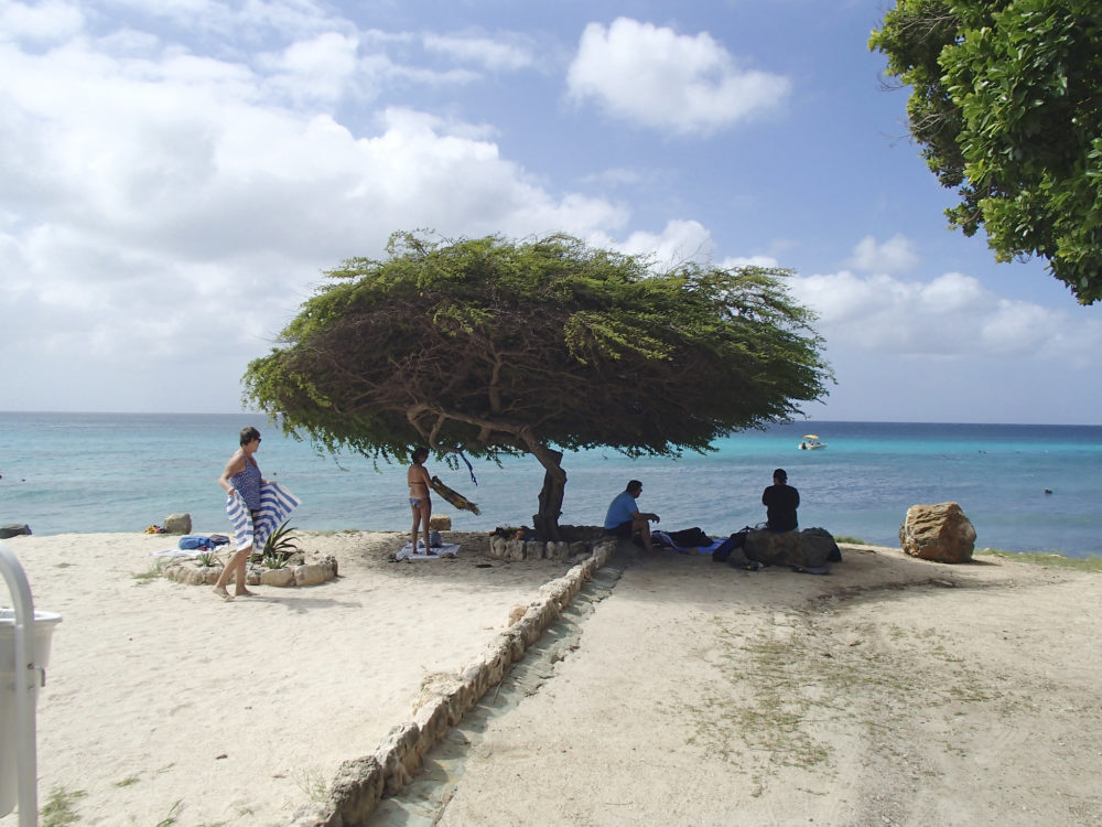 23690798811_b960e363f5_k-1000x750 - Boca Catalina, la tranquila playa familiar en Aruba para hacer esnórquel