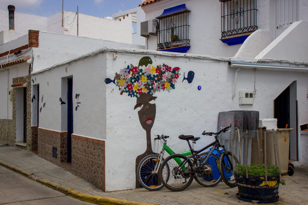48551514127_20bd364338_k-1000x667 - Qué hacer y cómo llegar a Zahara de los Atunes