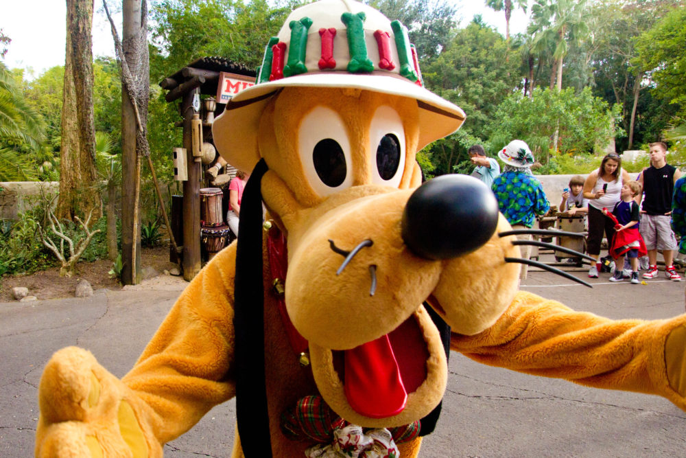 8216008226_01b0d22ca3_k-1000x667 - Los personajes de Disney que puedes conocer en Animal Kingdom Florida