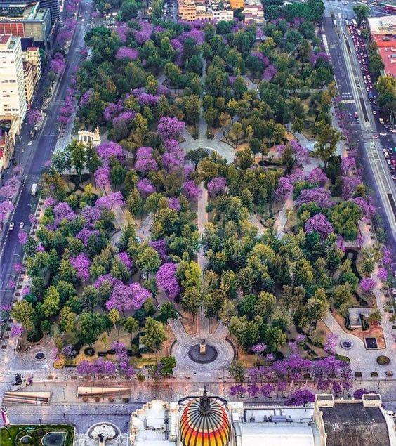 Alameda - Una ruta por El Centro Histórico, descubre este tesoro cultural