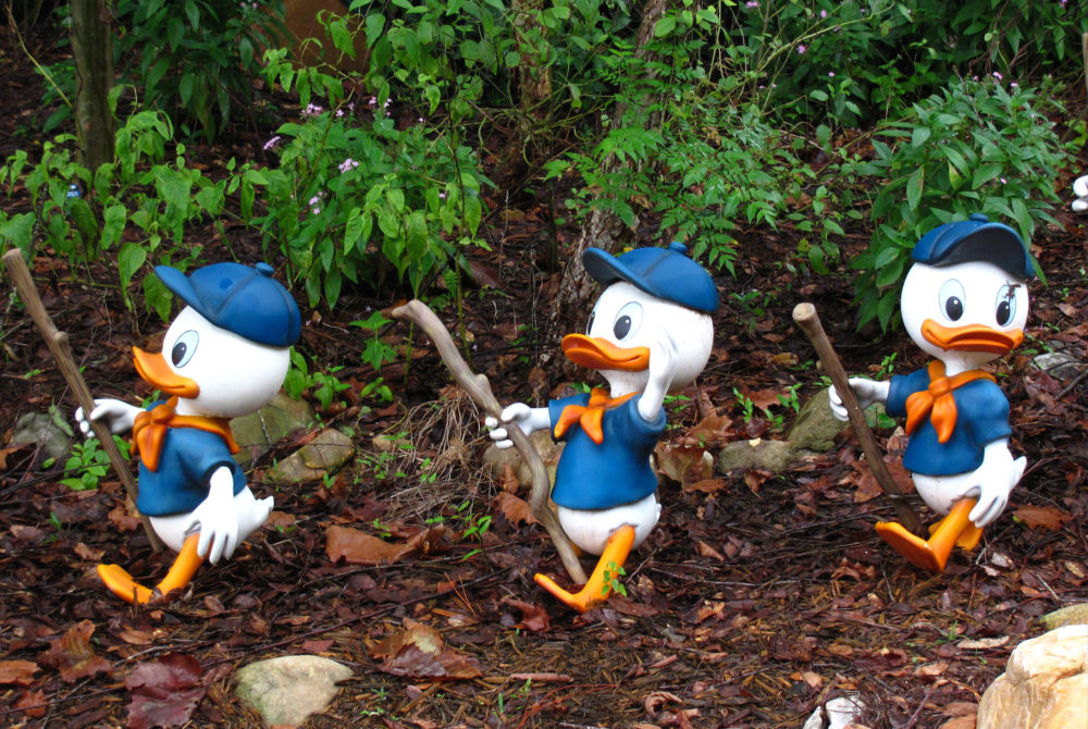 Animal-Kingdom-3-1000x670 - Los personajes de Disney que puedes conocer en Animal Kingdom Florida