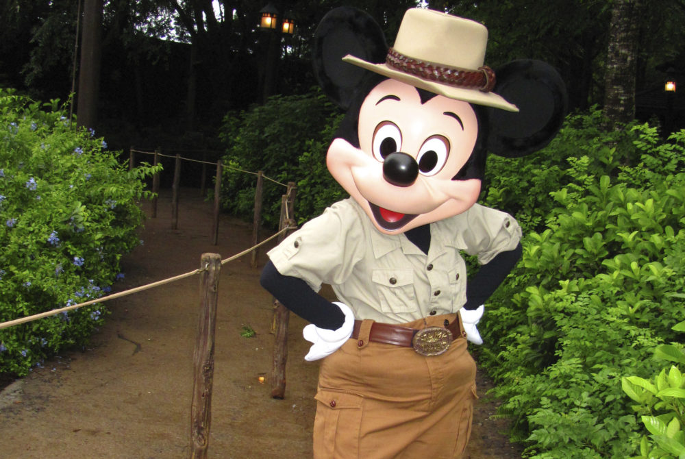 Animal-Kingdom2-1000x670 - Los personajes de Disney que puedes conocer en Animal Kingdom Florida